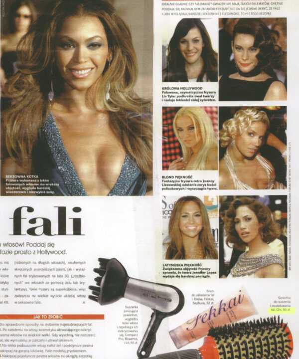 Polish Publication CHI Boar Brush